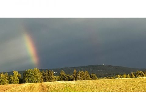 Foto 61